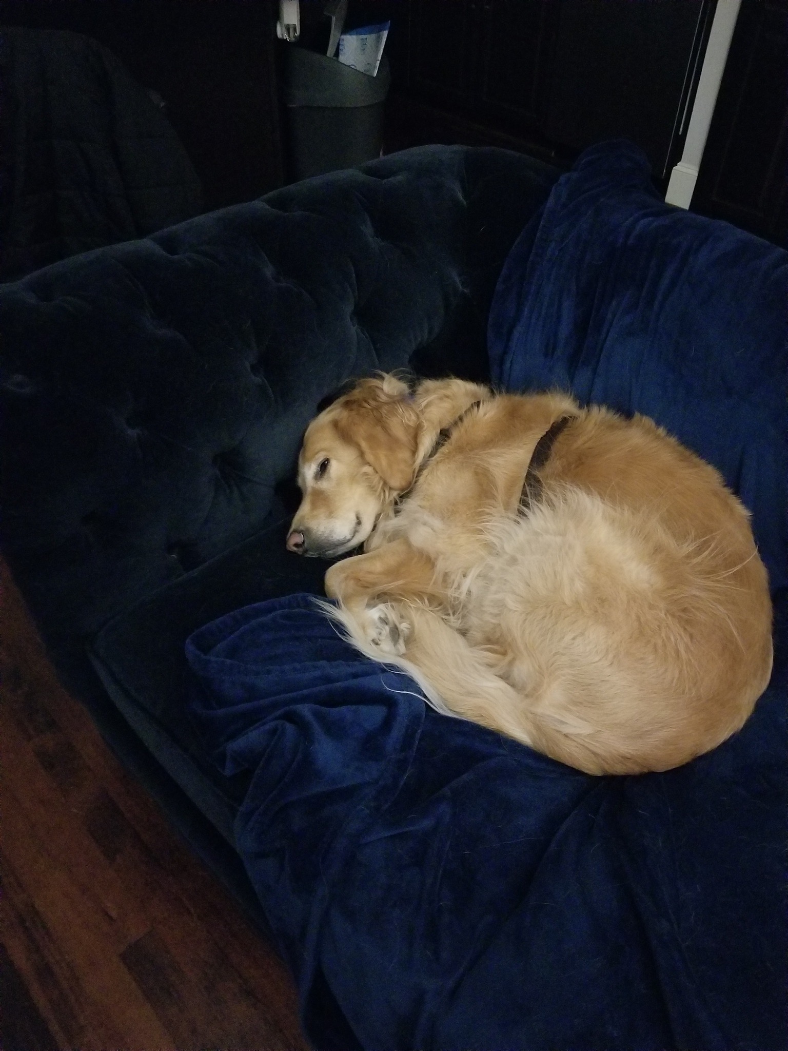 Louie memory